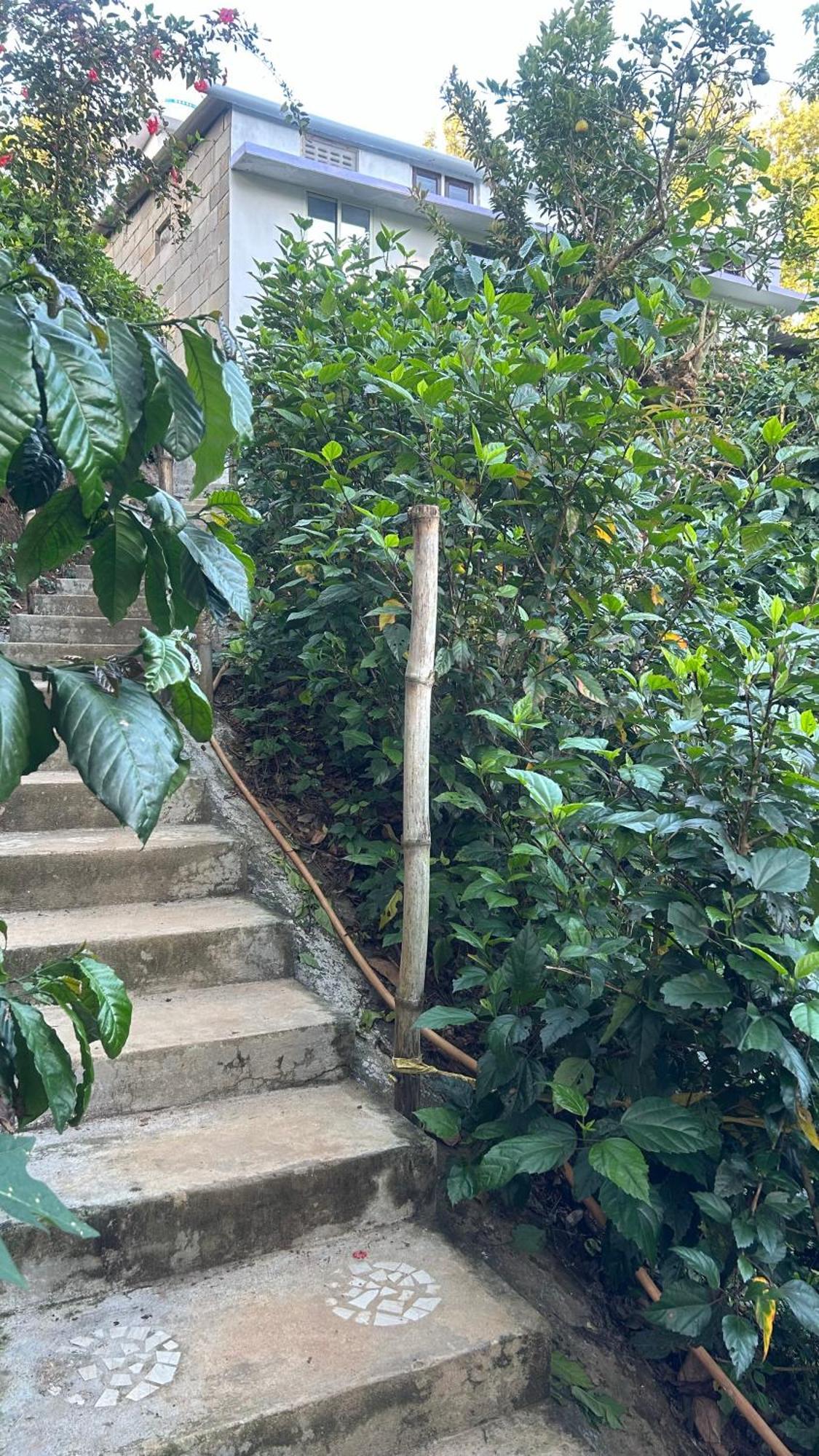 Doddakallu Betta Homestay Coorg Somvārpet Kültér fotó