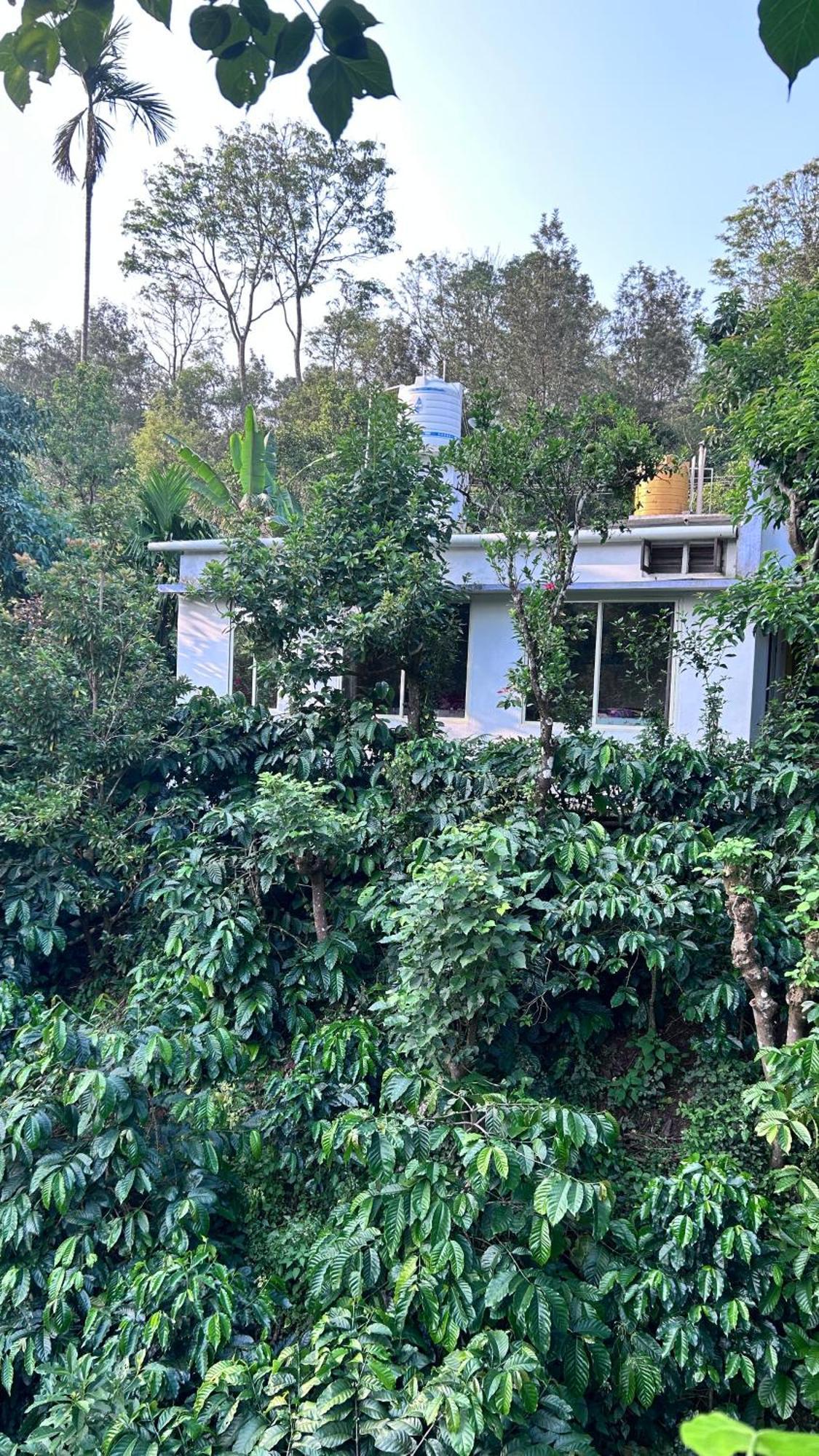 Doddakallu Betta Homestay Coorg Somvārpet Kültér fotó