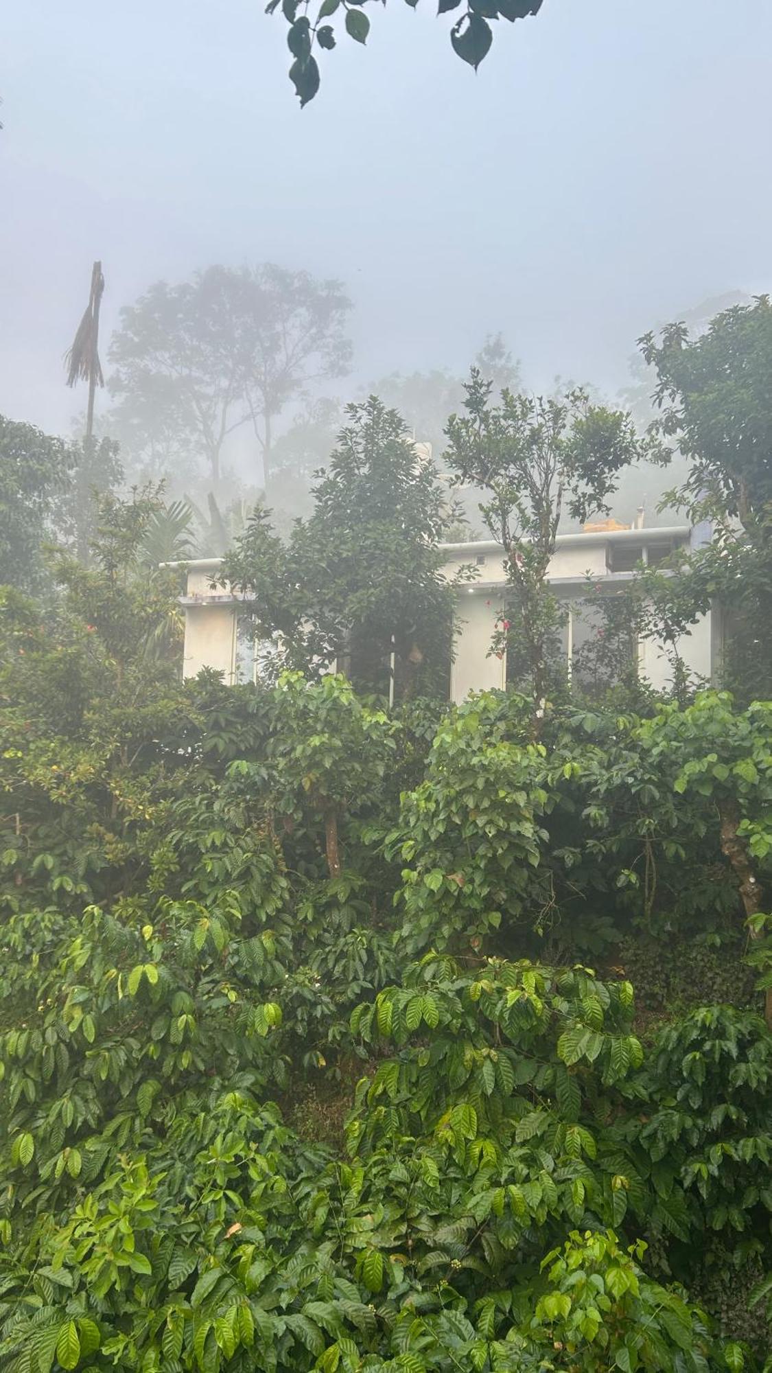 Doddakallu Betta Homestay Coorg Somvārpet Kültér fotó